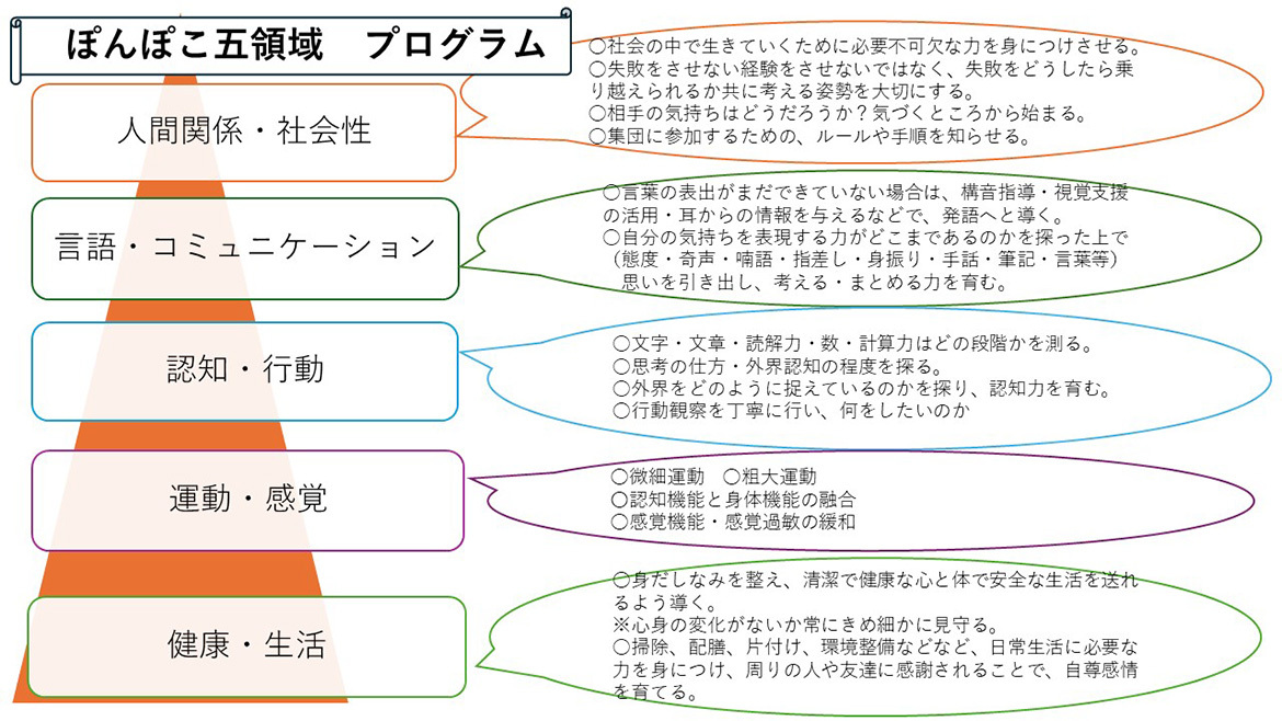ぽんぽこ五領域　プログラム