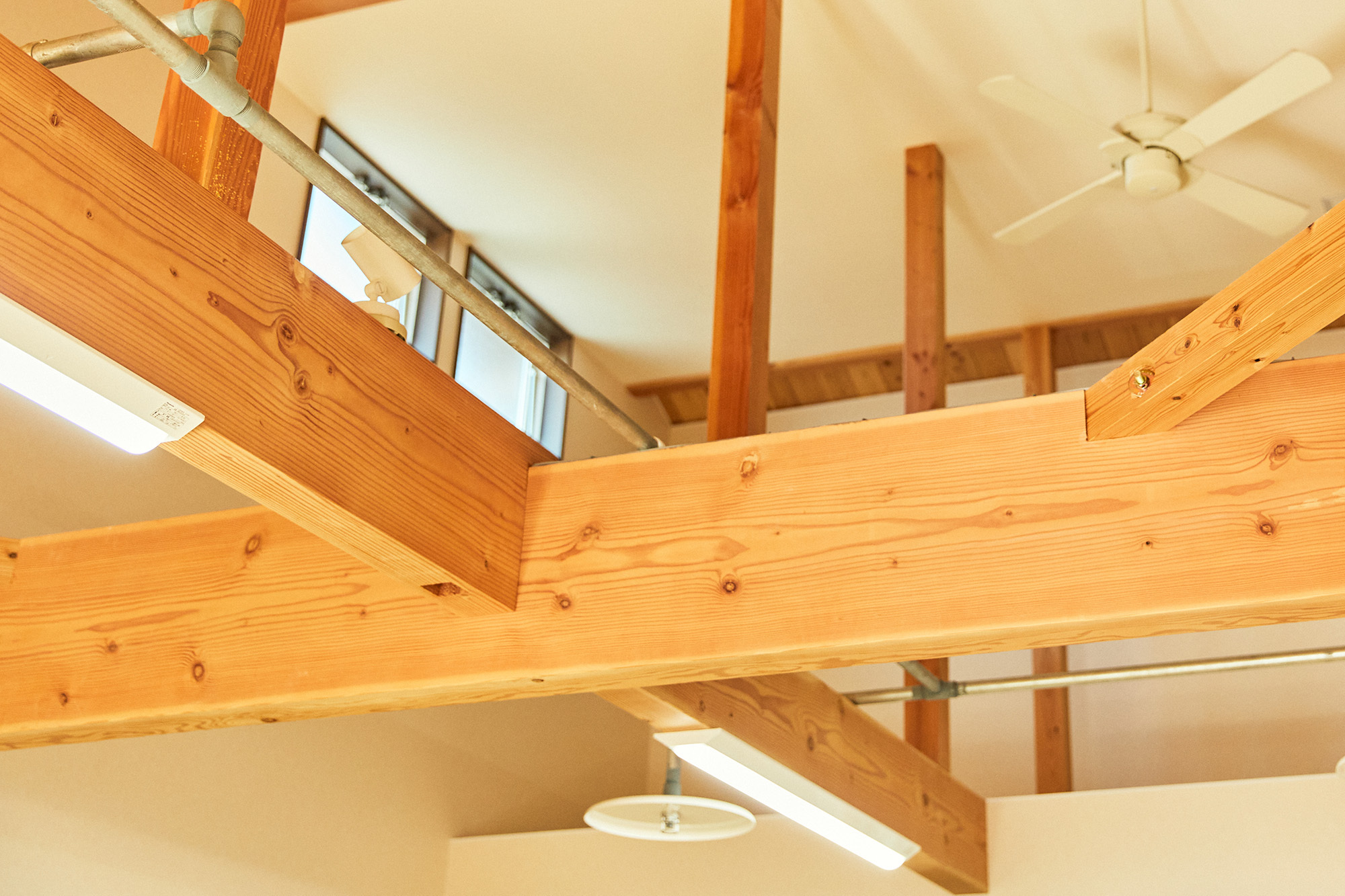 ぽんぽこネットワーク 支援プログラム