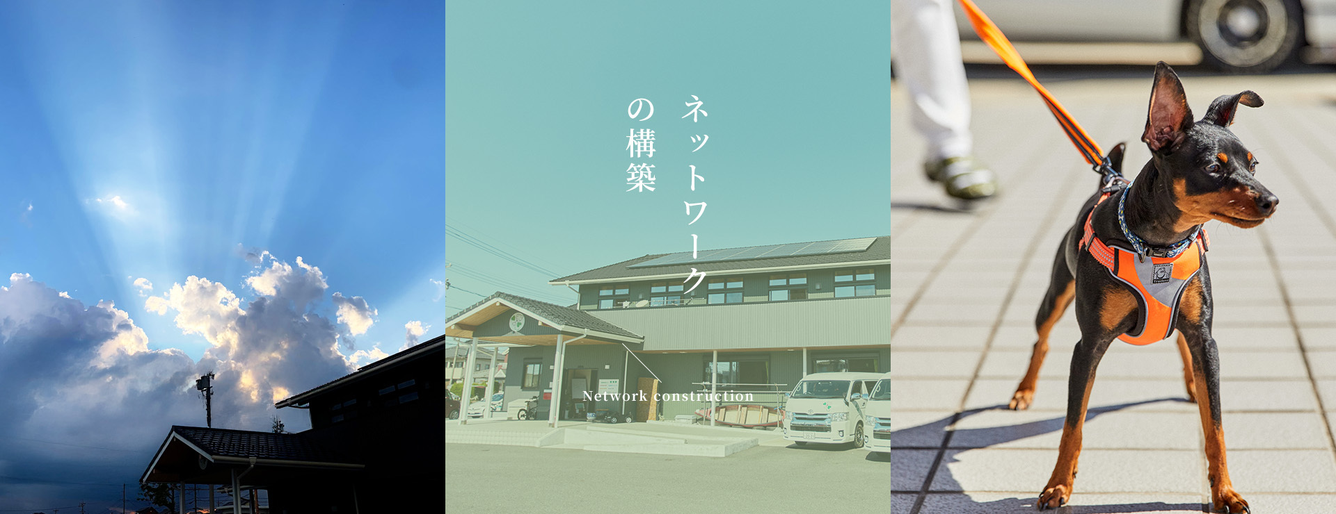ネットワークの構築 