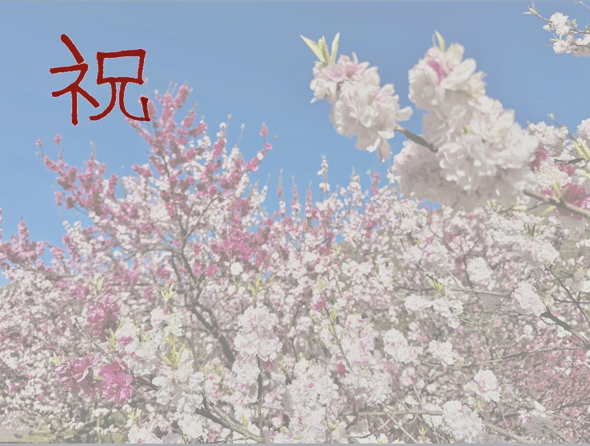 お知らせ